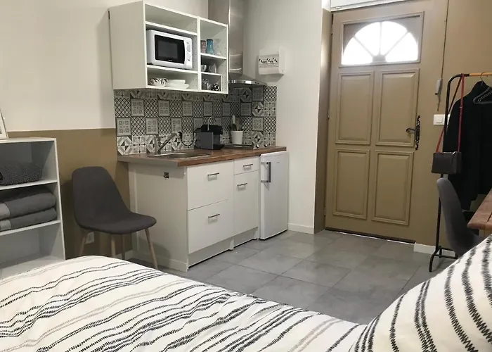 Studette De 17M2 Avec Parking Prive Gratuit Climatisation Et Petite Cuisine